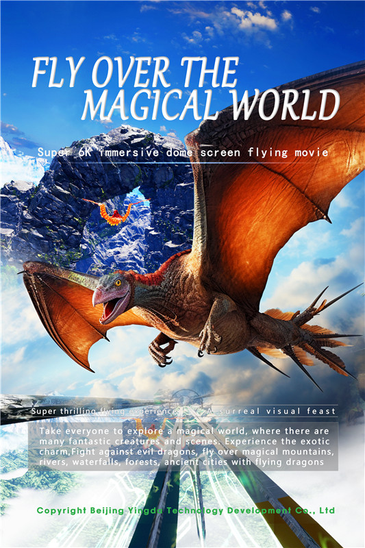 Fly Over the Magical World