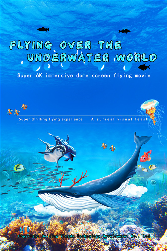 Fly Over the Underwater World