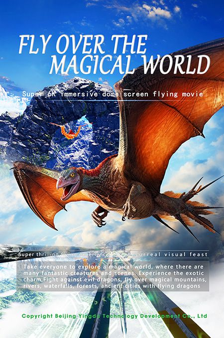 Fly Over the Magical World