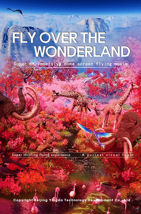 Fly Over the Wonderland