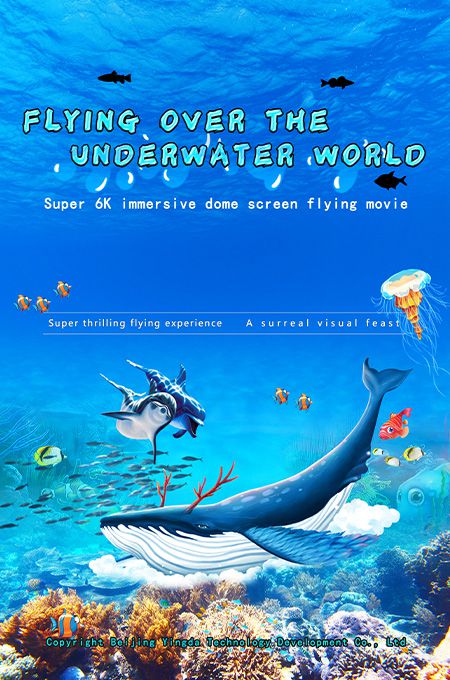 Fly Over the Underwater World